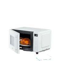 New Microwave Oven Small Household Flat Type Micro Steam Oven Light Wave Oven Commercial