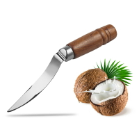 包郵木柄不銹鋼椰子刀挖椰子肉去皮取肉器撬肉椰子開殼器開椰子