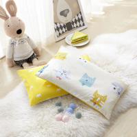 Kids Pillow Set with cartoon cover/case 30*50cm #kidpillow #kidpillowset #kidspillowsetwithcase