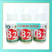 EVO B2 plus vitamin B2 dan asam amino khusus kucing