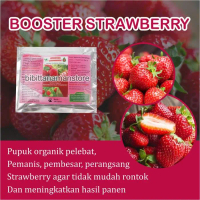 Pupuk Booster Strawberry Agar Berbuah Lebat, Pupuk Stroberi