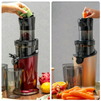 Slow Juicer Ecohome ESJ999