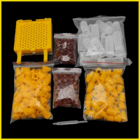 Jenter Kit Plastic Queen Protection Cover Cage Cell Egg Larva Cup Incubator Box High Accepted Apiculture Beekeeping Products