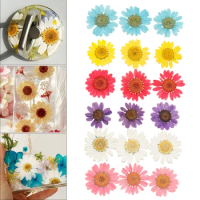 1 Bag Daisy Dried Flower Dry Plants For Aromatherapy Candle Epoxy Resin Pendant Necklace Jewelry Making Craft DIY Accessories