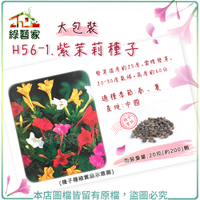 【綠藝家】大包裝H56-1.紫茉莉種子 20克(約200顆)(貝魯)