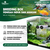 Breeding Box Karantina Ikan Hias Molly Guppy Cupang Ukuran S