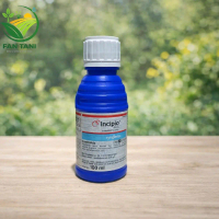 Incipio 200SC 100ml – Insektisida Ulat Sundep & Penggerek Batang Padi untuk Perlindungan Tanaman Pad