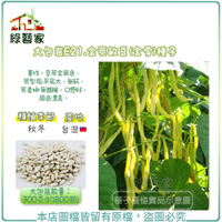 【綠藝家】大包裝E21.金莢敏豆(金雪)種子300克(約800顆)