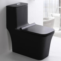 Sanitaryware Inodoro Floor Mounted S Trap Ceramic Water Closet Bathroom Wc Matte Black Colored Bowl Toilets