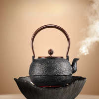Iron pot, pure handmade cast iron pot, electric pottery stove, tea maker, tea brewing pot, tea boiling kettle, water kettle