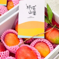 【我在枋山種芒果】愛文芒果禮盒(5-7顆/大果5斤)