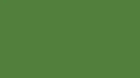 CAT TEMBOK NIPPON PAINT QLUC GOLD Q-LUC GOLD - 4,5 KG AC2118A ARMY GREEN