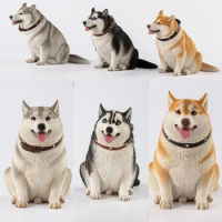 In Stock 3 Colors JXK092 1/6 Simulated Cute Fat Siberian Husky With Collar Desktop Decoration Fit 12" Action Figure Body For Fan