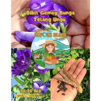 Bibit Gemoy Bunga Telang Ungu | Benih Kembang Telang |Bibit Teleng