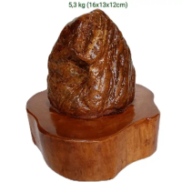 batu hias suiseki fosil kayu galih/badar asem (132)