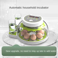 Small Intelligent Automatic Home Mini Incubator Bird Egg Lutefisk Chicken