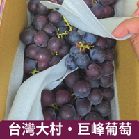 【仙菓園】大村室外巨峰葡萄 兩包入 單包約500g±10%