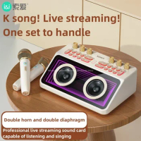 SOAIY SG12 sound card audio all-in-one machine home KTV microphone karaoke live broadcast equipment Bluetooth sound system
