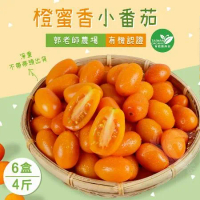 【禾鴻】郭老師農場有機認證橙蜜香小番茄禮盒4斤x6盒(淨重不帶蒂頭出貨)