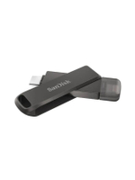 แฟลชไดรฟ์ (256 GB) รุ่น SDIX70N-256G-GN6NE