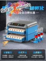 【台灣公司 質量保證】孵蛋器 孵化機 孵化器 小型家用型 全自動 智能 小雞的機器 孵化箱 110V