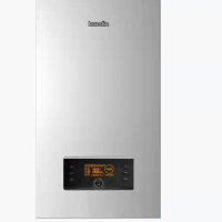 Special price spikesWall mounted gas boiler for home heating tankless instant gas water heater