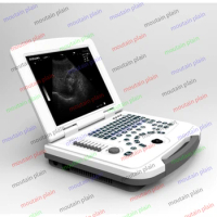 Portable B-ultrasound machine B-ultrasound machine portable notebook black and white DW-500