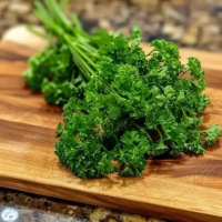 Parsley Tanaman Bibit Kualitas A1 Super Sayuran Segar Untuk Masakan