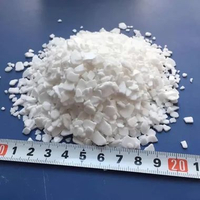 Calcium Chloride FOOD GRADE Japan / Kalsium Klorida 500 gr