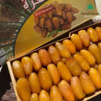 ORIGINAL!! Kurma Ruthob Libya 1 kg Selected Kurma Fresh Kuning - 1kg