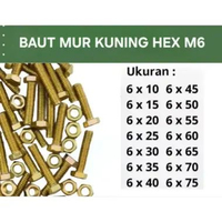 [ 25pcs ] Baut Mur Kuning Hex M6 x 15-70 Kunci 10 6 x 25