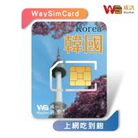 韓國網卡 4G高速網路 SK Telecom電信 吃到飽 3-10天
