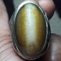 Cincin Batu Akik Pandan Semu Nanas Kapas Sutra Merah Lumut Oli Antik88