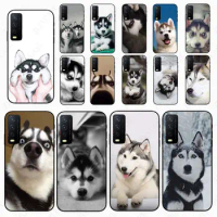 Husky dog fundaS cell Phone cover For vivo V21E V23E Y30 V27E 5G Y20S Y31 Y11S Y35 2021 Y21S Y33S Y53S 4G Cases coque