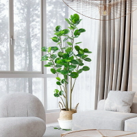 仿真植物金錢兜室內客廳大型落地裝飾品仿生綠植盆栽擺件假樹盆景