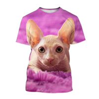 เสื้อยืดพิมพ์ลายสัตว์ Sphynx Cat 3D สำหรับผู้ชายและผู้หญิง เสื้อยืดแขนสั้นคอวีสุดเท่ เสื้อยืดฤดูร้อน