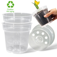 PP Plastic Transparent Orchid Pots with Holes Garden Flower Planter Indoor Plant Hydroponic Pot Seed