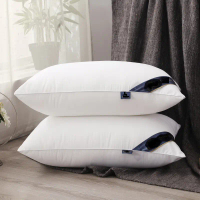 Five Star Hotel Pillow 1000gFast Ship SG