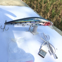 Umpan Pancing ikan Laut Minnow Ikan Elektrik