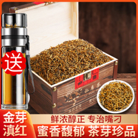 新茶滇紅茶特級濃香型云南鳳慶古樹茶葉密香散裝禮盒裝500g