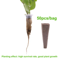 Hydroponic Indoor Garden Planting Kit 50Pcs Replacement Seed Germination Pod Growing Sponge Supplemental Pod