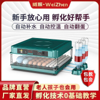 孵蛋器 110v小型家用全自動水床孵化器 迷你孵化機小雞孵化箱