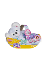 ตุ๊กตา Cozy Dozy S2 Koala สีเทา