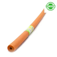 Aqua Bones Pool Noodle Panjang 122 cm - Rendom (Best Quality)