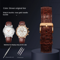 Crocodile Skin Watch Strap Multi size women12mm 13 14 15 16 17 18 19 20 21 22 23 24mm men Universal 