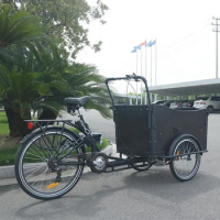 family pedal assist 3 wheel cargo bike adult tricycle for sale cargo bike three wheel cargo bike