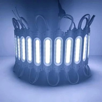 [20PCS] Lampu LED Modul / Lampu LED Tempel / Chip LED COB Module Strip Light Set Waterproof 12V 1W C