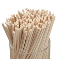 1000 PCS 3MMX22CM Nature Reed Diffuser Sticks Aroma Replacement Rattan Sticks for Air Freshener