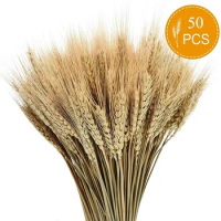 Wedding Centerpieces Decorative Natural Dry Wheat Bunches Grass Stalks Decor Sheaves Dried Wheat Flowers Home Living Room Decor