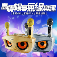 【SDRD】升級版 貓頭鷹家庭ktv 雙人伴唱無線麥克風音箱 附二支無線麥克風(SD306 PLUS)